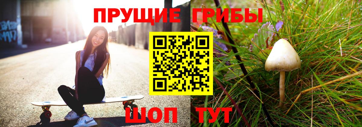 Галлюциногенные грибы Magic Shrooms  Галлюциногенные грибы Psilocybine cubensis  Светлоград  Вход с VPN 